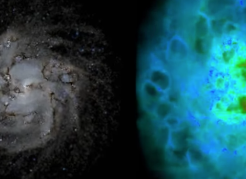 Isolated Disc Galaxy