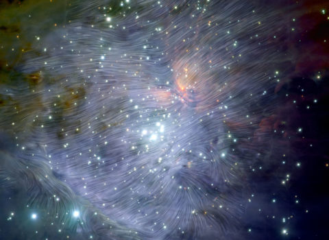 Magnetic Orion